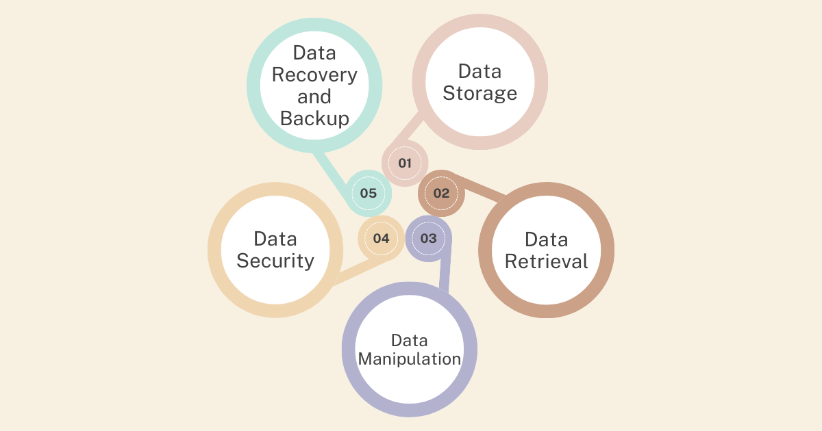 Advantages Of Data Management Services Top 5 Database Management Functions